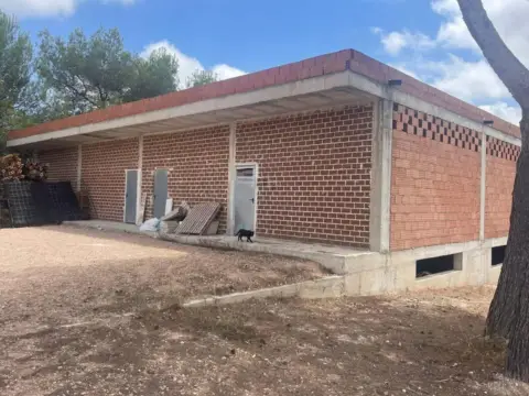 Local comercial en Avinguda del Pino