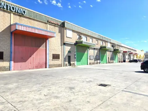 Nave industrial en Carretera de Pinos Puente