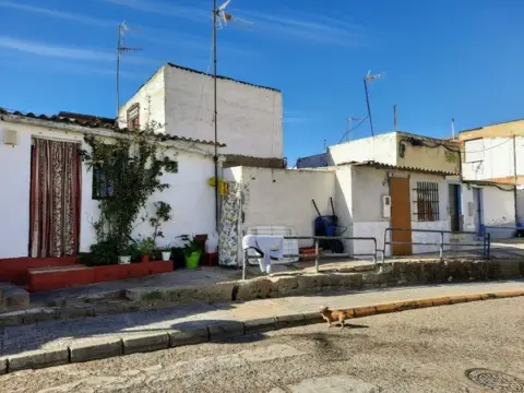 Casa en calle calle Virgilio Viniegra