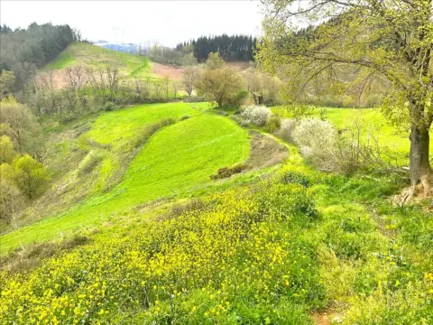 Piso en calle Diseminado - Caserio Zelaundi