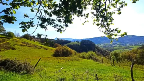 Piso en calle Diseminado - Caserio Zelaundi