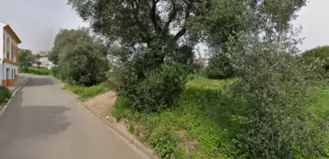 Terreno en calle Cl Dr. Miguel Marquez