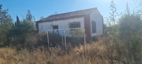 Finca rústica en Avenida de Montañana