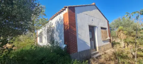 Finca rústica en Avenida de Montañana