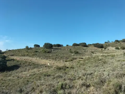 Terreno en calle Ermita