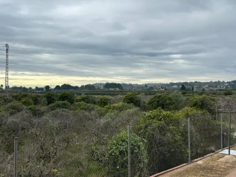 Terreno en calle Polígono 46, Parcela 70  Partida Covatelles