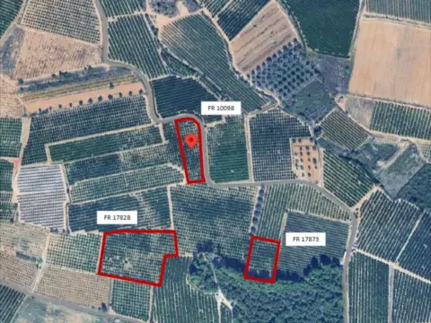 Finca rústica en Vilamarxant