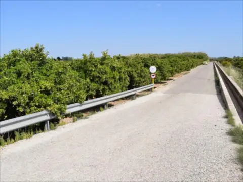 Finca rústica en Carcaixent