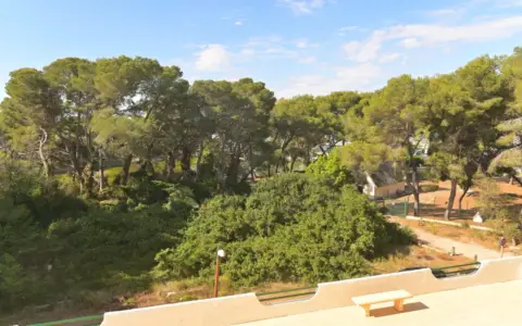 Piso en Avenida de la Gola del Puchol