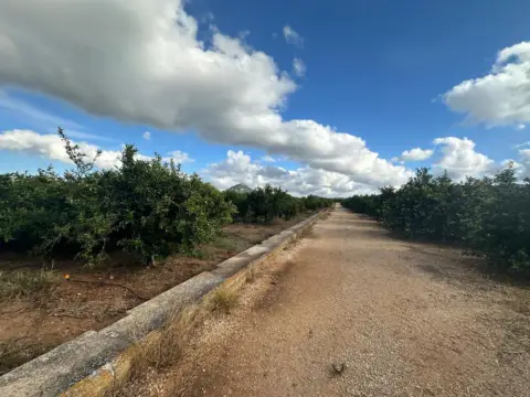 Finca rústica en Carrer de les Marjals, 282
