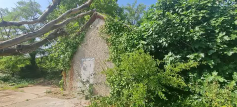 Finca rústica en Camino de Bárboles