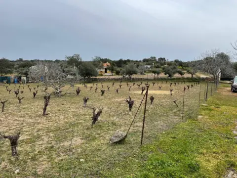 Casa en Poligono25 Parcela 75