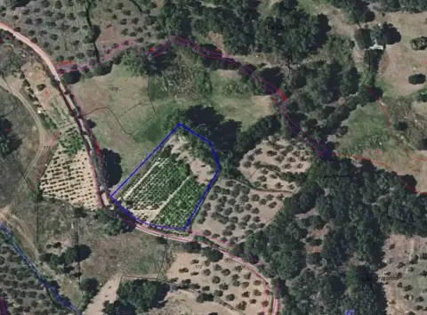 Terreno en Lagunilla