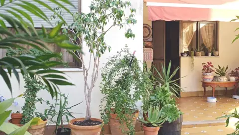 Casa adosada en Riba-roja de Túria