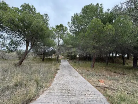 Terreno en calle Poligono