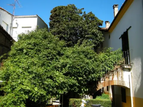 Casa adosada en Jerte