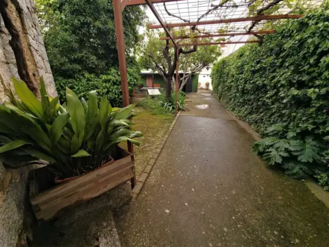 Terreno en Centro Urbano