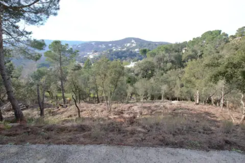 Terreno en calle Eucaliptus, 12