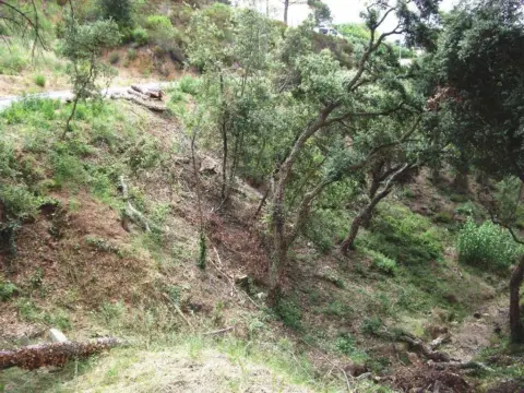Terreno en calle Eucaliptus, 10