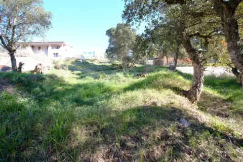 Terreno en calle Avet