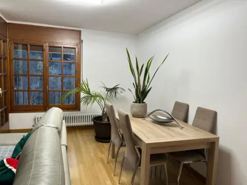 4-bedroom flat for rent in L'Aldosa, La Massana · 44 of 46