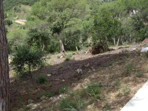 Terreno en calle Alzina