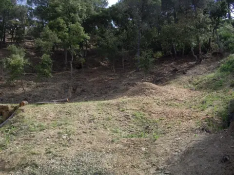 Terreno en calle Eucaliptus
