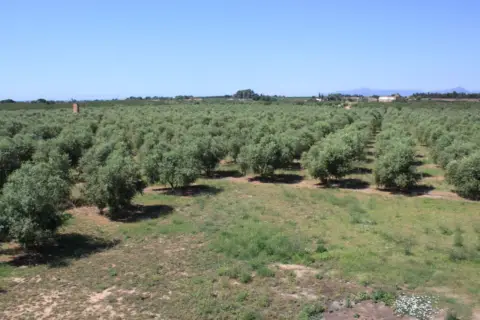 Casa en Carretera de La Sénia