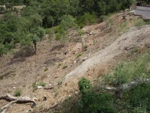 Terreno en calle Avet, 7