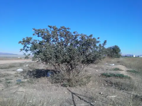 Terreno en Miranda