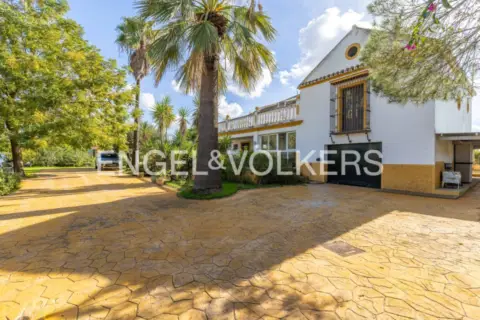 Casa en Morón de la Frontera