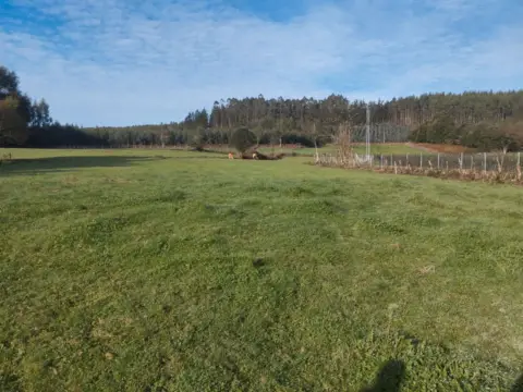 Casa en O Vicedo (Santo Estevo) (O Vicedo)