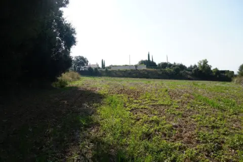 Land in Corró d'Avall