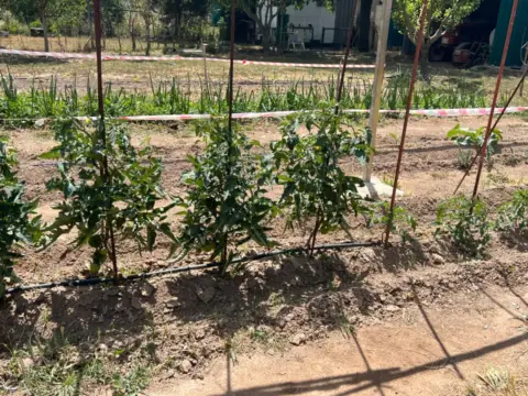 Terreno en Camino de Monzalbarba, 9193