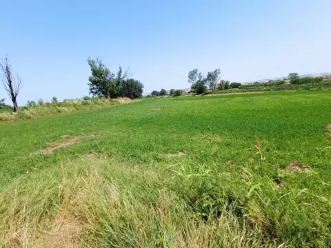 Terreno en Pinseque
