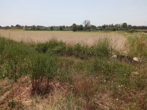 Terreno en Pinseque