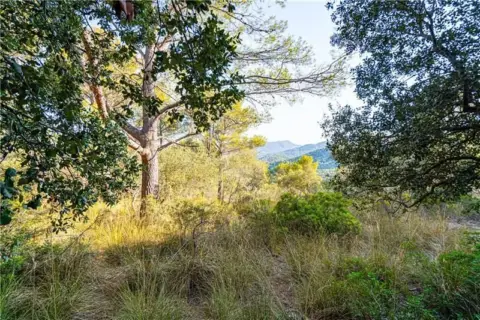 Terreno en Establiments