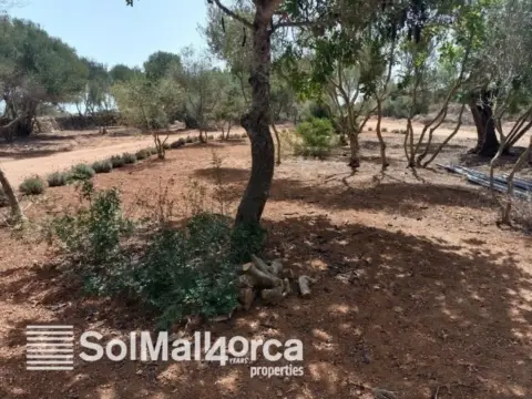 Casa rústica en Santanyí