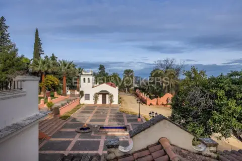 Casa rústica en Olivares
