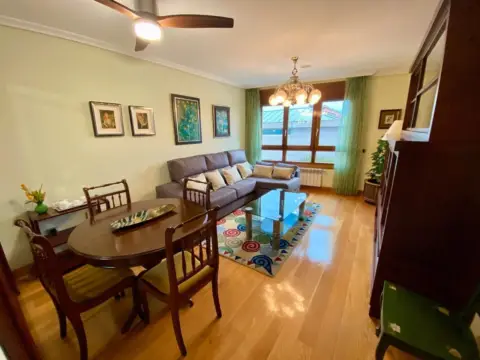 Piso en calle Avenida de José Manuel Palacio Álvarez, nº 2