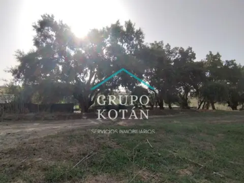 Finca rústica en Camino de Rociana del Condado a Almonte