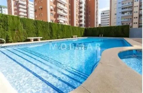 Estudio en Playa de Gandia