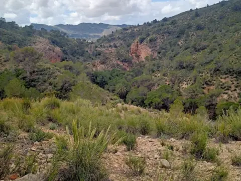 Casa rústica en Abanilla