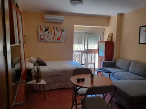 Estudio en Parque de la Paloma