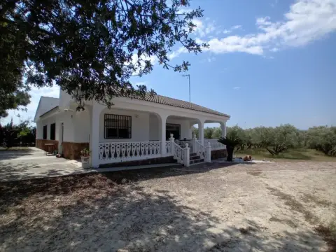 Chalet en Partida de la Alberca, 27