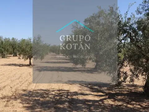 Terreno en Camino Camino de Lucena del Puerto