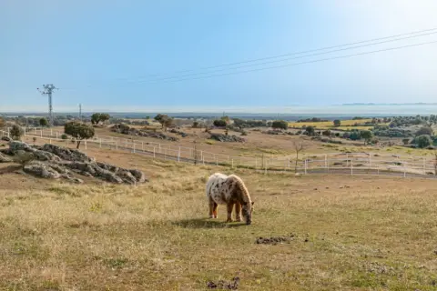 Casa rústica en calle N-403
