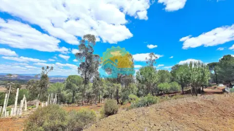 Casa rústica en Calañas