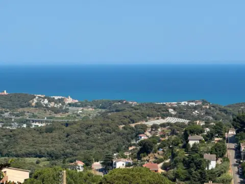 Chalet en Carrer del Camí de Canet, 49