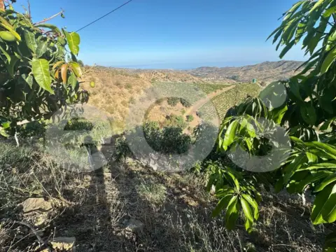 Terreno en calle N-A